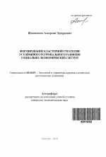 Формирование кластерной стратегии устойчивого регионального развития социально-экономических систем - тема автореферата по экономике, скачайте бесплатно автореферат диссертации в экономической библиотеке