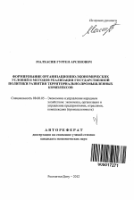 Формирование организационно-экономических условий и методов реализации государственной политики развития территориально-промышленных комплексов - тема автореферата по экономике, скачайте бесплатно автореферат диссертации в экономической библиотеке