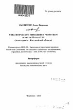 Стратегическое управление развитием зерновой отрасли - тема автореферата по экономике, скачайте бесплатно автореферат диссертации в экономической библиотеке