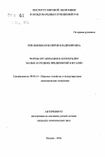 Формы организации и кооперации малых и средних предприятий в Италии - тема автореферата по экономике, скачайте бесплатно автореферат диссертации в экономической библиотеке