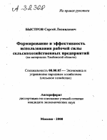 ФОРМИРОВАНИЕ И ЭФФЕКТИВНОСТЬ ИСПОЛЬЗОВАНИЯ РАБОЧЕЙ СИЛЫ СЕЛЬСКОХОЗЯЙСТВЕННЫХ ПРЕДПРИЯТИЙ (НА МАТЕРИАЛАХ ТАМБОВСКОЙ ОБЛАСТИ) - тема автореферата по экономике, скачайте бесплатно автореферат диссертации в экономической библиотеке