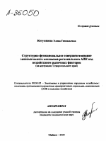 СТРУКТУРНО-ФУНКЦИОНАЛЬНОЕ СОВЕРШЕНСТВОВАНИЕ ЭКОНОМИЧЕСКОГО МЕХАНИЗМА РЕГИОНАЛЬНОГО ЛПК ПОД ВОЗДЕЙСТВИЕМ РЫНОЧНЫХ ФАКТОРОВ (НА МАТЕРИАЛАХ СТАВРОПОЛЬСКОГО КРАЯ) - тема автореферата по экономике, скачайте бесплатно автореферат диссертации в экономической библиотеке