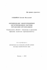 Формирование многоуровневой интегрированной системы управления организацией - тема автореферата по экономике, скачайте бесплатно автореферат диссертации в экономической библиотеке