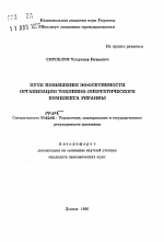 Пути повышения эффективности организации топливно-энергетического комплекса Украины - тема автореферата по экономике, скачайте бесплатно автореферат диссертации в экономической библиотеке