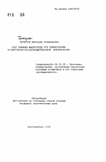 Учет влияния макросреды при планировании хозяйственно-предпринимательской деятельности - тема автореферата по экономике, скачайте бесплатно автореферат диссертации в экономической библиотеке