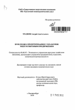 Проблемно-ориентированное управление энергосбытовым предприятием - тема автореферата по экономике, скачайте бесплатно автореферат диссертации в экономической библиотеке