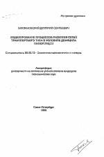 Моделирование процессов развития сетей транспортного типа в условиях дефицита информации - тема автореферата по экономике, скачайте бесплатно автореферат диссертации в экономической библиотеке