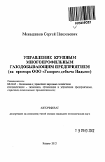 Управление крупным многопрофильным газодобывающим предприятием - тема автореферата по экономике, скачайте бесплатно автореферат диссертации в экономической библиотеке