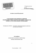 Стратегии и механизмы развития взаимодействия разномасштабных субъектов бизнеса в региональной экономике - тема автореферата по экономике, скачайте бесплатно автореферат диссертации в экономической библиотеке