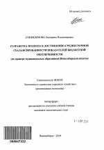 Разработка подхода к достижению среднесрочной сбалансированности показателей бюджетной обеспеченности - тема автореферата по экономике, скачайте бесплатно автореферат диссертации в экономической библиотеке