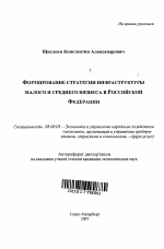 Формирование стратегии инфраструктуры малого и среднего бизнеса в Российской Федерации - тема автореферата по экономике, скачайте бесплатно автореферат диссертации в экономической библиотеке