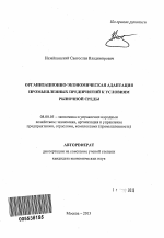 Организационно-экономическая адаптация промышленных предприятий к условиям рыночной среды - тема автореферата по экономике, скачайте бесплатно автореферат диссертации в экономической библиотеке