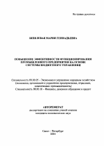 Повышение эффективности функционирования промышленного предприятия на основе системы бюджетного управления - тема автореферата по экономике, скачайте бесплатно автореферат диссертации в экономической библиотеке