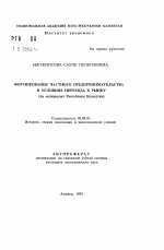 Формирование частного предпринимательства в условиях перехода к рынку (на материалах Республики Казахстан) - тема автореферата по экономике, скачайте бесплатно автореферат диссертации в экономической библиотеке