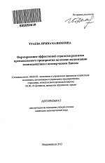 Формирование эффективной стратегии развития промышленного предприятия на основе активизации взаимодействия с коммерческим банком - тема автореферата по экономике, скачайте бесплатно автореферат диссертации в экономической библиотеке