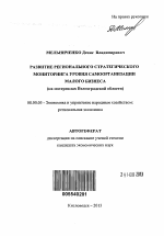 Развитие регионального стратегического мониторинга уровня самоорганизации малого бизнеса - тема автореферата по экономике, скачайте бесплатно автореферат диссертации в экономической библиотеке