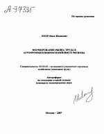 ФОРМИРОВАНИЕ РЫНКА ТРУДА В АГРОПРОМЫШЛЕННОМ КОМПЛЕКСЕ РЕГИОНА - тема автореферата по экономике, скачайте бесплатно автореферат диссертации в экономической библиотеке