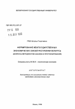 Формирование межгосударственных экономических связей Республики Беларусь (вопросы методологии анализа и прогнозирования) - тема автореферата по экономике, скачайте бесплатно автореферат диссертации в экономической библиотеке