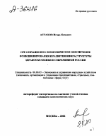 ОРГАНИЗАЦИОННО-ЭКОНОМИЧЕСКОЕ ОБЕСПЕЧЕНИЕ ФУНКЦИОНИРОВАНИЯ И РАЗВИТИЯ ИНФРАСТРУКТУРЫ ЗДРАВООХРАНЕНИЯ В СОВРЕМЕННОЙ РОССИИ - тема автореферата по экономике, скачайте бесплатно автореферат диссертации в экономической библиотеке