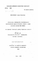 Информационно-вычислительное обслуживание административного района в новых социально-экономических условиях (на примере Уманского района Черкасской области) - тема автореферата по экономике, скачайте бесплатно автореферат диссертации в экономической библиотеке