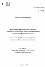 Формирование эффективного ядра капиталов в региональных экономических системах современной России - тема автореферата по экономике, скачайте бесплатно автореферат диссертации в экономической библиотеке