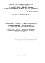 ОСНОВНЫЕ ВОПРОСЫ ПЕРСПЕКТИВНОГО ПЛАНИРОВАНИЯ ХЛОПКОВОДСТВА В АРАБСКОЙ РЕСПУБЛИКЕ ЕГИПЕТ - тема автореферата по экономике, скачайте бесплатно автореферат диссертации в экономической библиотеке