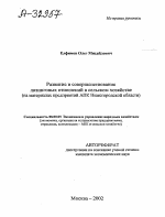 РАЗВИТИЕ И СОВЕРШЕНСТВОВАНИЕ ЛИЗИНГОВЫХ ОТНОШЕНИЙ В СЕЛЬСКОМ ХОЗЯЙСТВЕ (НА МАТЕРИАЛАХ ПРЕДПРИЯТИЙ АПК НИЖЕГОРОДСКОЙ ОБЛАСТИ) - тема автореферата по экономике, скачайте бесплатно автореферат диссертации в экономической библиотеке