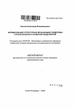 Формирование структурных механизмов поддержки стратегического развития предприятия - тема автореферата по экономике, скачайте бесплатно автореферат диссертации в экономической библиотеке
