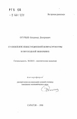 Становление инвестиционной инфраструктуры в переходной экономике - тема автореферата по экономике, скачайте бесплатно автореферат диссертации в экономической библиотеке