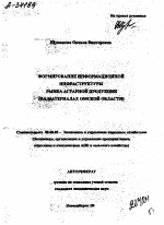 ФОРМИРОВАНИЕ ИНФОРМАЦИОННОЙ ИНФРАСТРУКТУРЫ РЫНКА АГРАРНОЙ ПРОДУКЦИИ (НА МАТЕРИАЛАХ ОМСКОЙ ОБЛАСТИ) - тема автореферата по экономике, скачайте бесплатно автореферат диссертации в экономической библиотеке