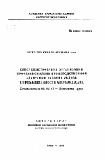 Совершенствование организации профессионально-производственной адаптации рабочих кадров в промышленности Азербайджана - тема автореферата по экономике, скачайте бесплатно автореферат диссертации в экономической библиотеке