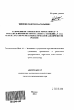 Направления повышения эффективности функционирования нефтегазового комплекса как основа обеспечения энергетической безопасности России - тема автореферата по экономике, скачайте бесплатно автореферат диссертации в экономической библиотеке