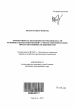 Эффективность деятельности органов власти муниципальных образований с учетом территориально-пространственных особенностей - тема автореферата по экономике, скачайте бесплатно автореферат диссертации в экономической библиотеке