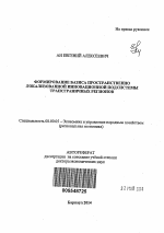 Формирование базиса пространственно локализованной инновационной подсистемы трансграничных регионов - тема автореферата по экономике, скачайте бесплатно автореферат диссертации в экономической библиотеке