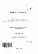 Организационные условия сбалансированного развития региона - тема автореферата по экономике, скачайте бесплатно автореферат диссертации в экономической библиотеке