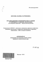 Организационно-экономические условия устойчивого развития АПК региона - тема автореферата по экономике, скачайте бесплатно автореферат диссертации в экономической библиотеке