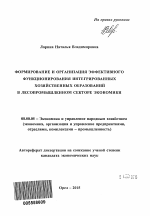 Формирование и организация эффективного функционирования интегрированных хозяйственных образований в лесопромышленном секторе экономики - тема автореферата по экономике, скачайте бесплатно автореферат диссертации в экономической библиотеке