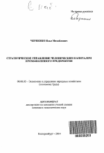 Стратегическое управление человеческим капиталом промышленного предприятия - тема автореферата по экономике, скачайте бесплатно автореферат диссертации в экономической библиотеке