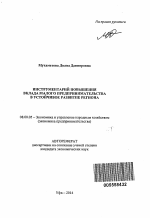 Инструментарий повышения вклада малого предпринимательства в устойчивое развитие региона - тема автореферата по экономике, скачайте бесплатно автореферат диссертации в экономической библиотеке