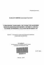 Совершенствование системы управления инновационными бизнес-процессами на основе принципа сбалансированности - тема автореферата по экономике, скачайте бесплатно автореферат диссертации в экономической библиотеке