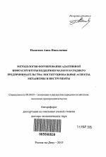 Методология формирования адаптивной инфраструктуры поддержки малого и среднего предпринимательства - тема автореферата по экономике, скачайте бесплатно автореферат диссертации в экономической библиотеке