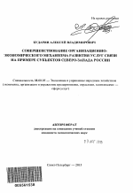 Совершенствование организационно-экономического механизма развития услуг связи на примере субъектов северо-запада России - тема автореферата по экономике, скачайте бесплатно автореферат диссертации в экономической библиотеке