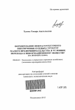 Формирование инфраструктурного обеспечения сетевых структур малого предпринимательства в условиях перехода к информационному обществу - тема автореферата по экономике, скачайте бесплатно автореферат диссертации в экономической библиотеке