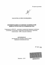 Формирование и развитие технической инфраструктуры растениеводства - тема автореферата по экономике, скачайте бесплатно автореферат диссертации в экономической библиотеке