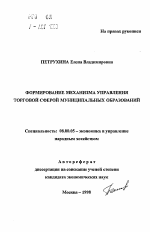 Формирование механизма управления торговой сферой муниципальных образований - тема автореферата по экономике, скачайте бесплатно автореферат диссертации в экономической библиотеке