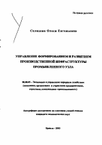 Управление формированием и развитием производственной инфраструктуры промышленного узла - тема автореферата по экономике, скачайте бесплатно автореферат диссертации в экономической библиотеке