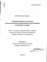 Совершенствование управления промышленными предприятиями теплоснабжения в рыночных условиях - тема автореферата по экономике, скачайте бесплатно автореферат диссертации в экономической библиотеке