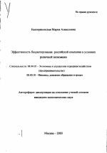 Эффективность бюджетирования российской компании в условиях рыночной экономики - тема автореферата по экономике, скачайте бесплатно автореферат диссертации в экономической библиотеке