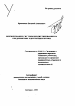 Формирование системы бюджетирования на предприятиях электроэнергетики - тема автореферата по экономике, скачайте бесплатно автореферат диссертации в экономической библиотеке