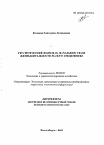 Стратегический подход на начальном этапе жизнедеятельности малого предприятия - тема автореферата по экономике, скачайте бесплатно автореферат диссертации в экономической библиотеке